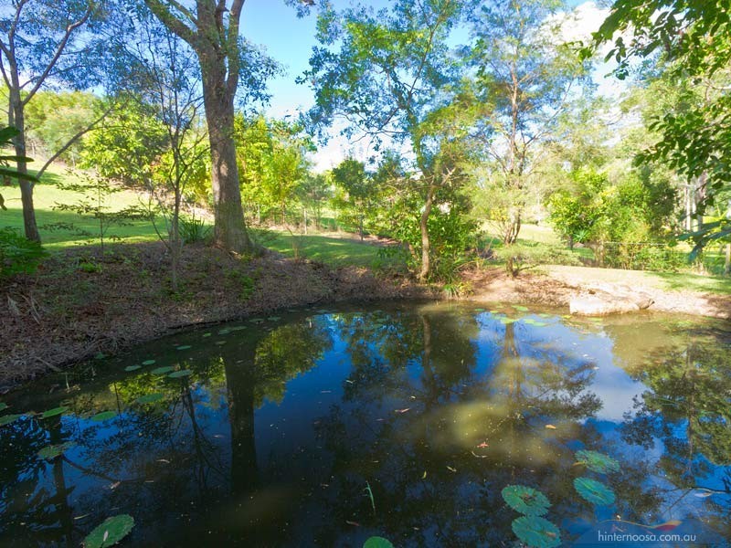 43 Foxtail Rise, Doonan QLD 4562