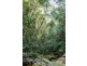 336 Gold Creek Road, Eerwah Vale QLD 4562