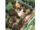 408 Gold Creek Road, Eerwah Vale QLD 4562