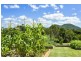 76 Grasstree Road, Eumundi QLD 4562
