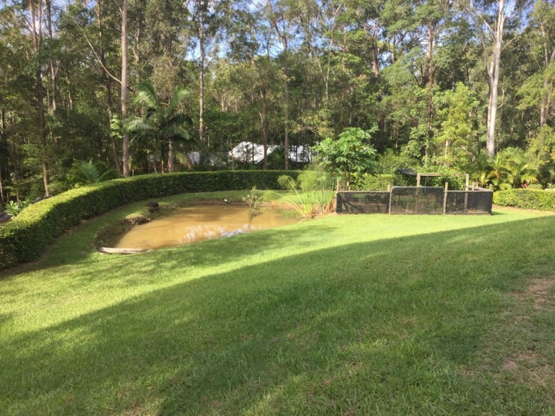 Doonan QLD 4562