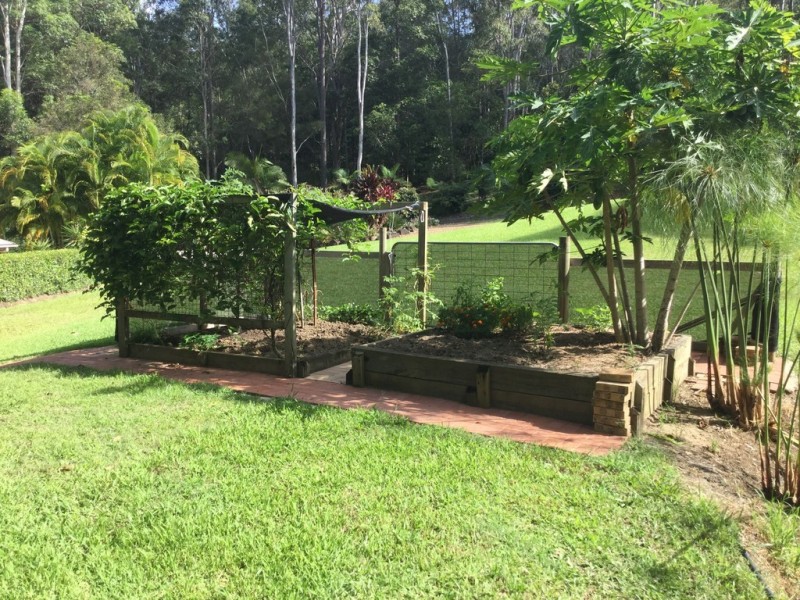 Doonan QLD 4562