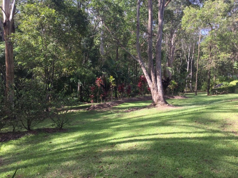 Doonan QLD 4562