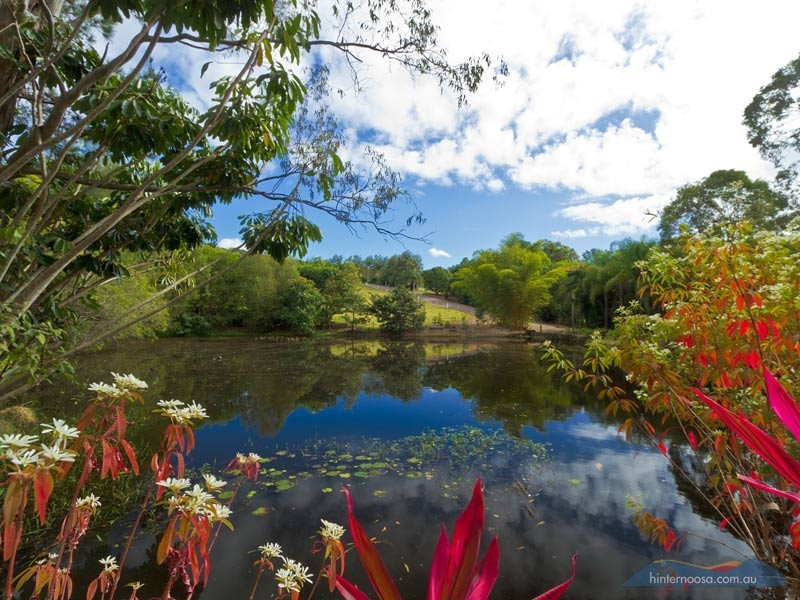 45 Hatfield Road, Eumundi QLD 4562