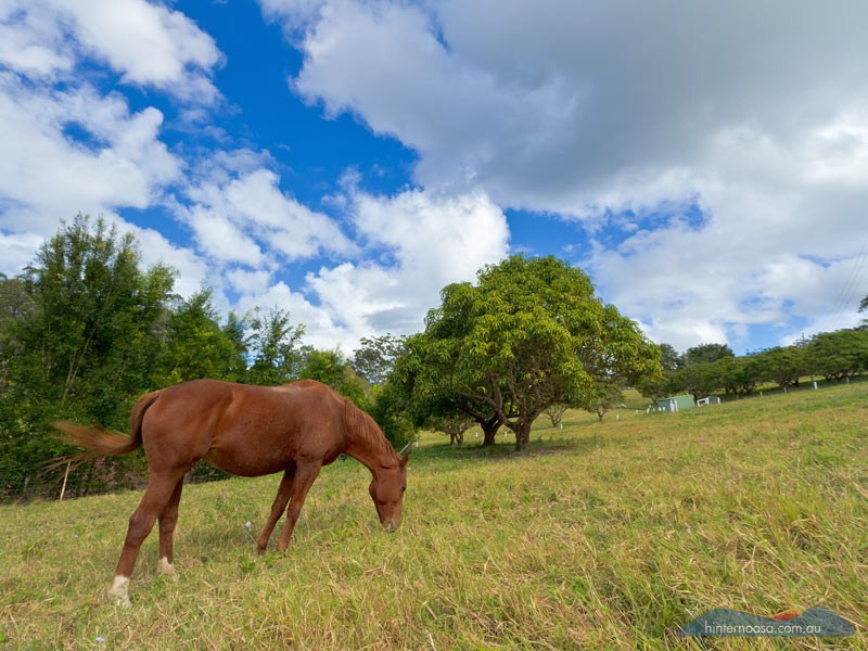 45 Hatfield Road, Eumundi QLD 4562