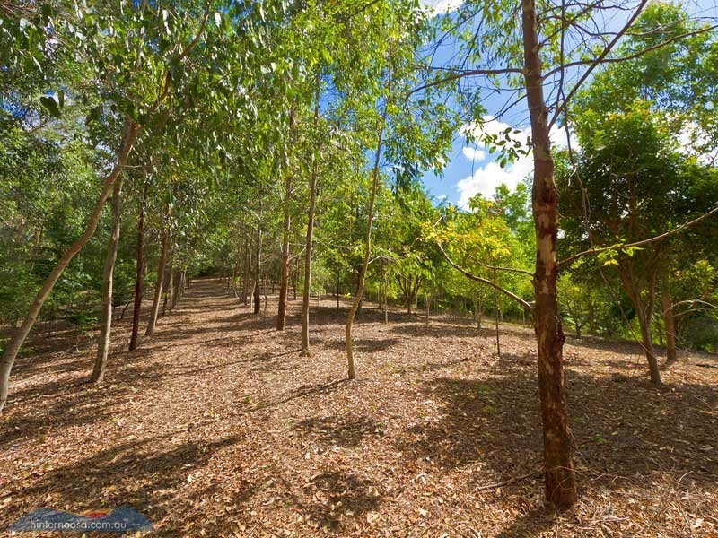 45 Hatfield Road, Eumundi QLD 4562