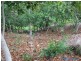 2 Jocelyn Drive, Eumundi QLD 4562