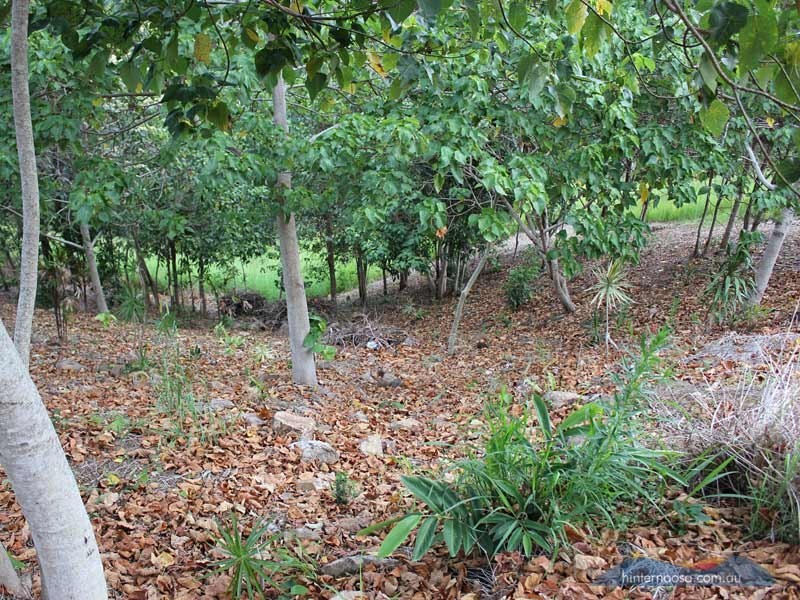 2 Jocelyn Drive, Eumundi QLD 4562