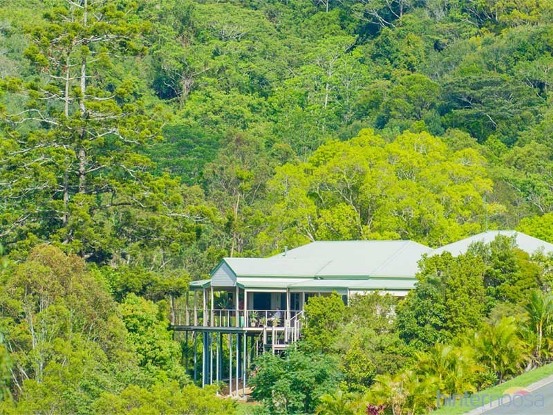 38 Jocelyn Drive, Eumundi QLD 4562