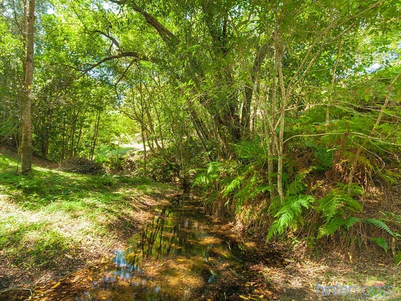 52 Jocelyn Drive, Eumundi QLD 4562