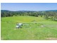 379 Skyring Creek Rd, Belli Park QLD 4562