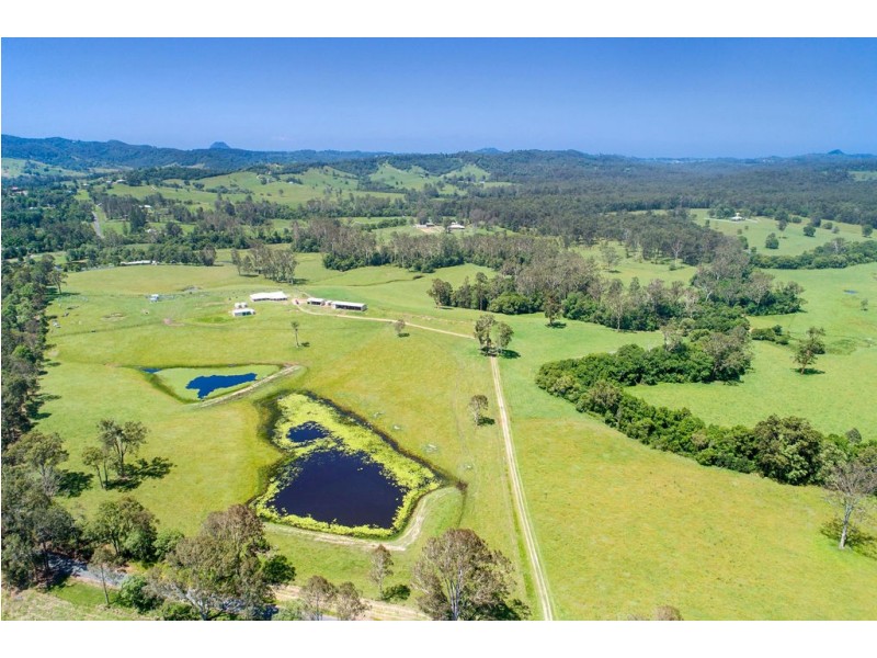 379 Skyring Creek Rd, Belli Park QLD 4562