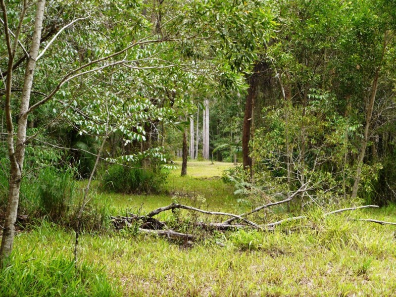 43 Laguna Gr, Doonan QLD 4562