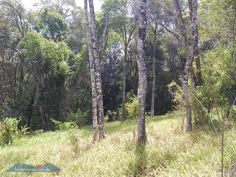 16 Lilly Pilly Rise, Eumundi QLD 4562