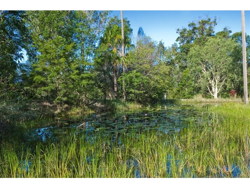 24 Livistona Drive, Doonan QLD 4562