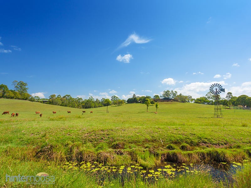 179 Lone Hand Rd, Eumundi QLD 4562