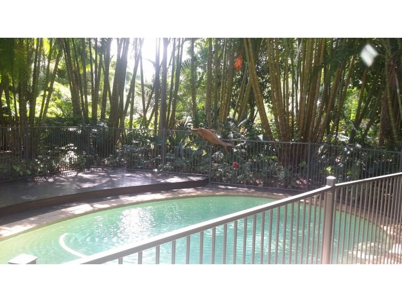 9 Marnie Crescent, Doonan QLD 4562