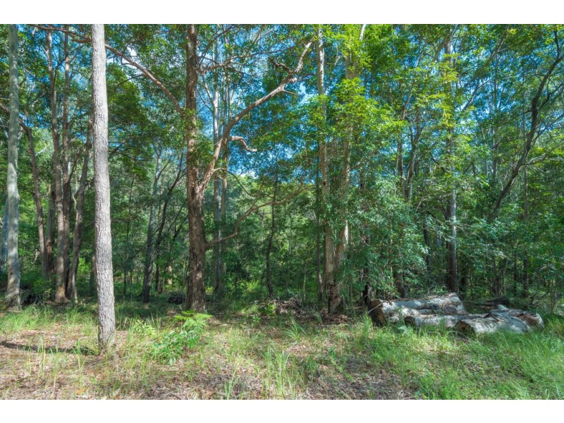 74 Marnie Crescent, Doonan QLD 4562