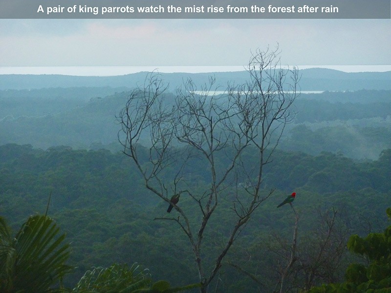 67 Regency Rd, Doonan QLD 4562