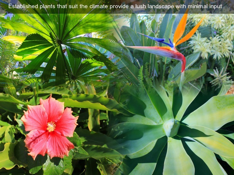 67 Regency Rd, Doonan QLD 4562