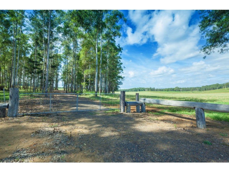 Lot 3, 161-237 Seib Rd, Eumundi QLD 4562