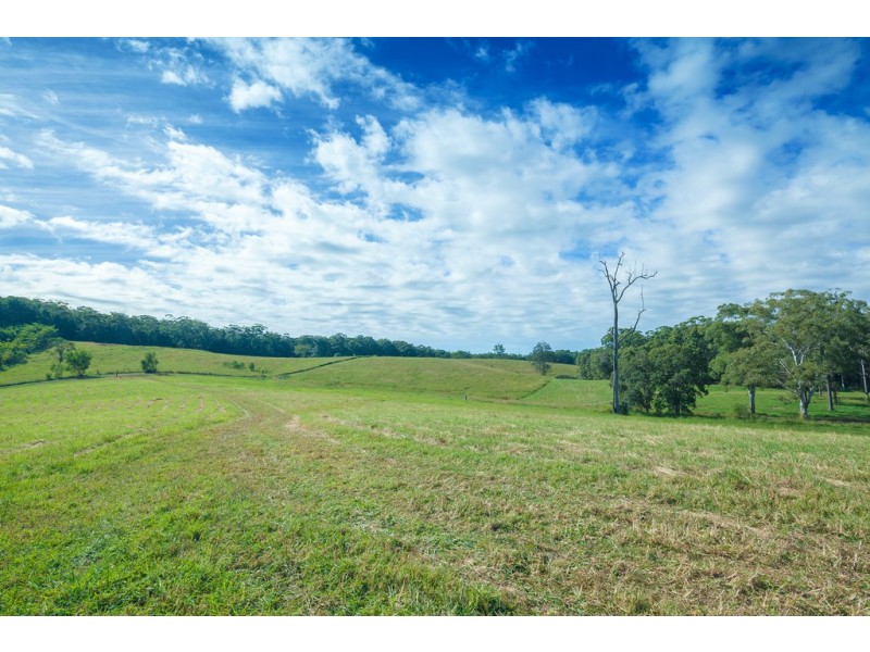 Lot 3, 161-237 Seib Rd, Eumundi QLD 4562