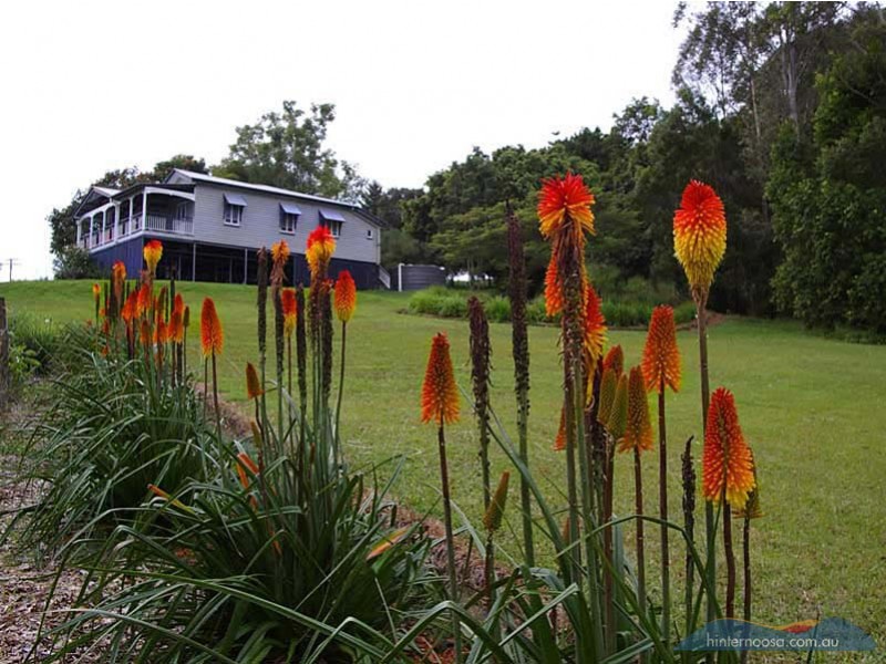 236 Seib Road, Eumundi QLD 4562