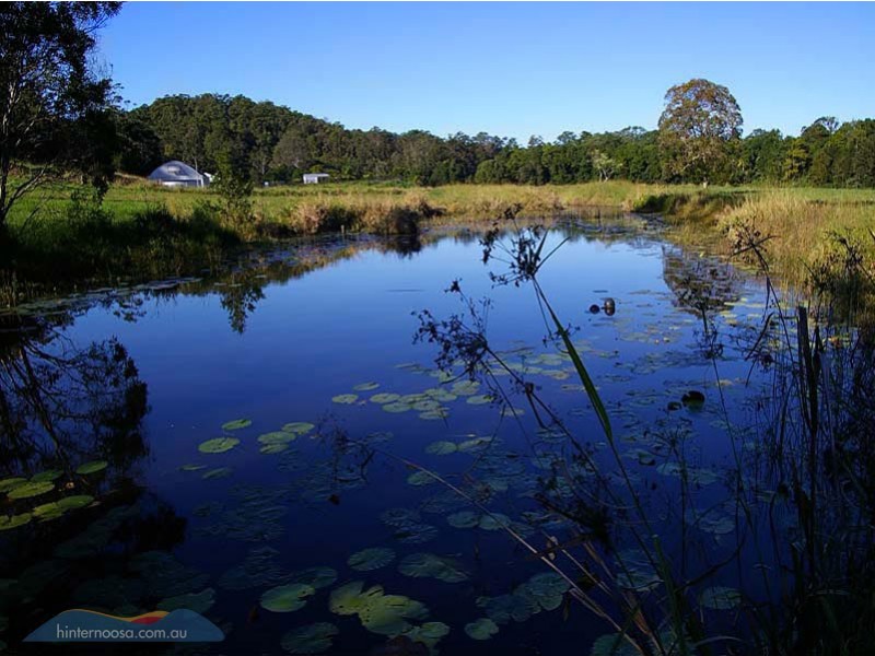 236 Seib Road, Eumundi QLD 4562