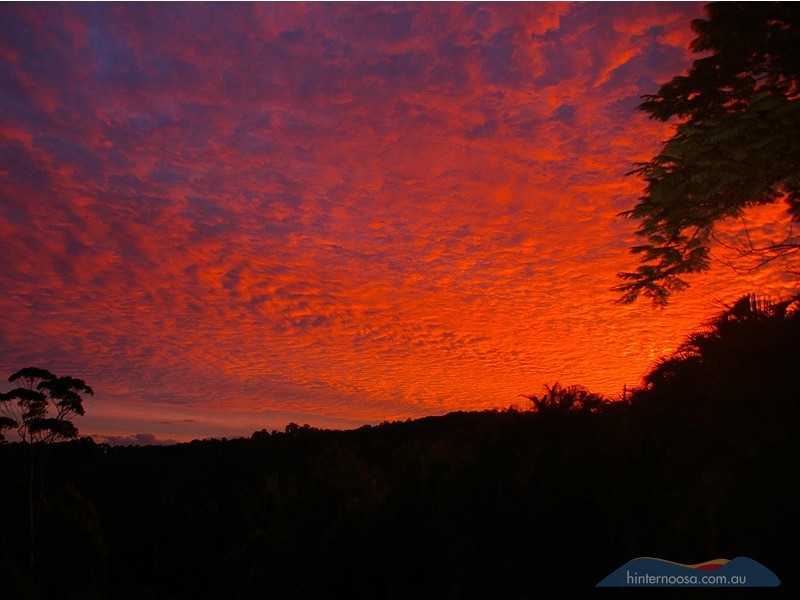 236 Seib Road, Eumundi QLD 4562