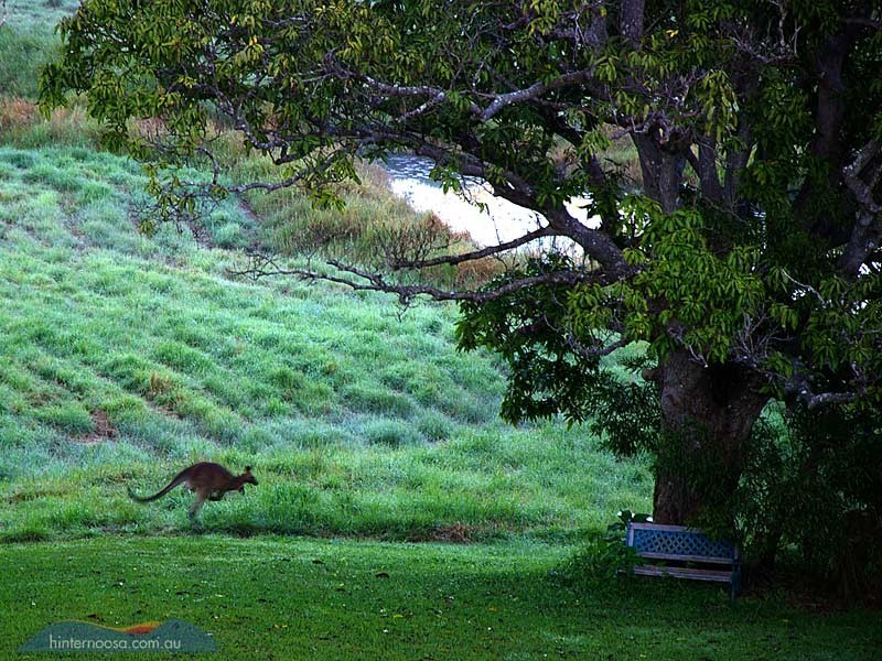 236 Seib Road, Eumundi QLD 4562