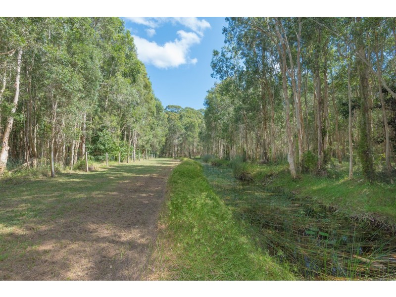 50 Silvertop Road, Doonan QLD 4562