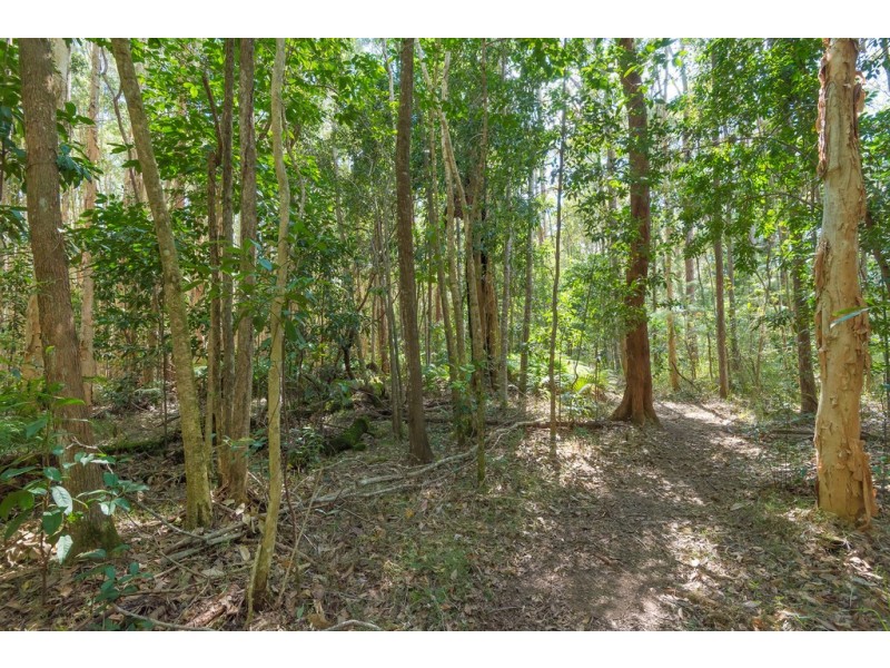 50 Silvertop Road, Doonan QLD 4562
