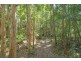 50 Silvertop Road, Doonan QLD 4562