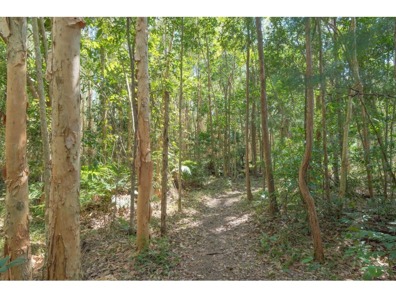 50 Silvertop Road, Doonan QLD 4562