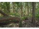 50 Silvertop Road, Doonan QLD 4562
