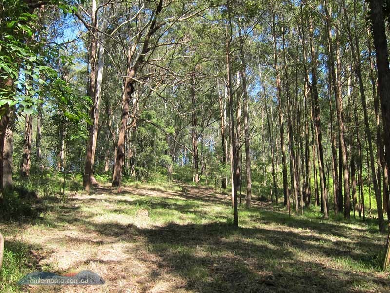 46 Stewart Ct, Doonan QLD 4562