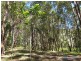 46 Stewart Ct, Doonan QLD 4562