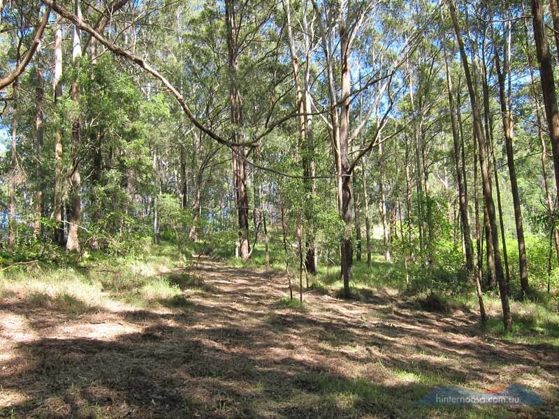 46 Stewart Ct, Doonan QLD 4562