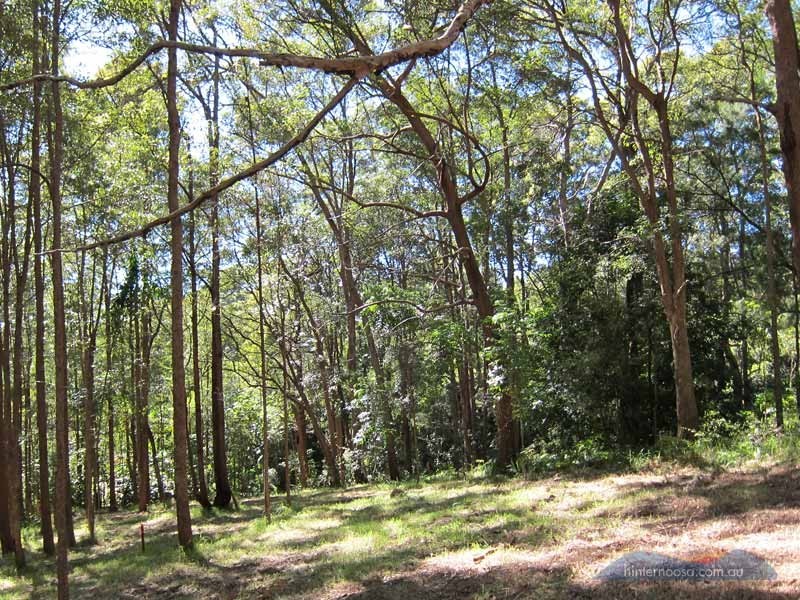 46 Stewart Ct, Doonan QLD 4562