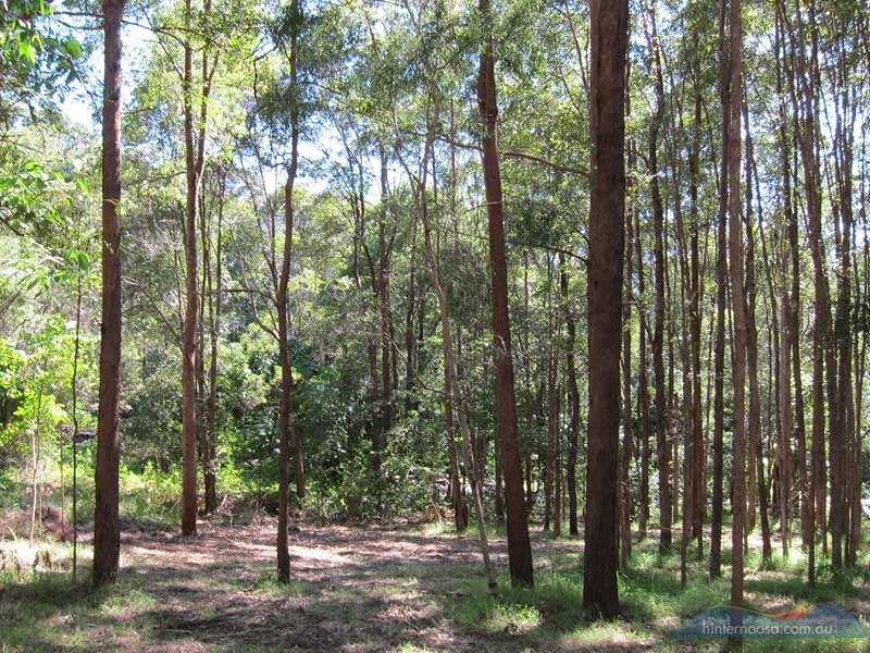 46 Stewart Ct, Doonan QLD 4562