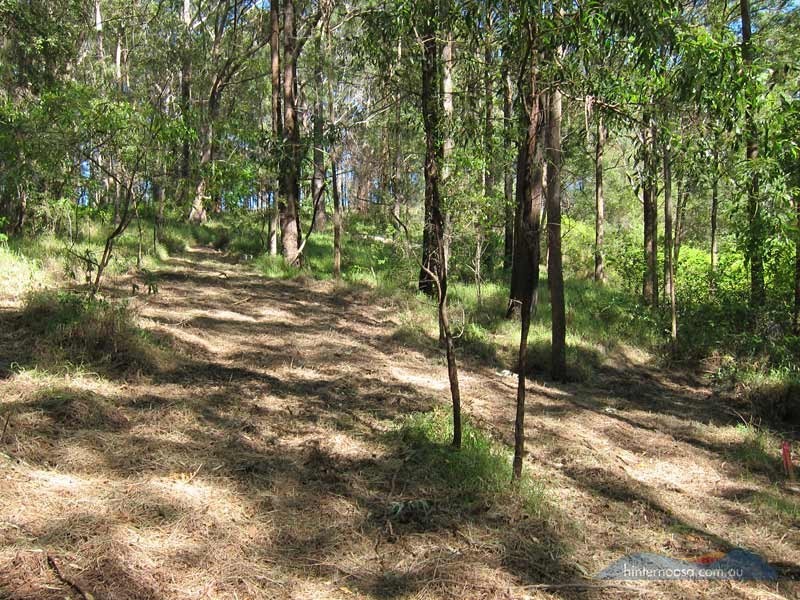 46 Stewart Ct, Doonan QLD 4562