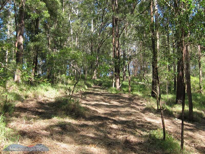 46 Stewart Ct, Doonan QLD 4562