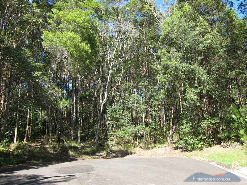 46 Stewart Ct, Doonan QLD 4562