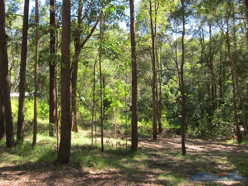 46 Stewart Ct, Doonan QLD 4562