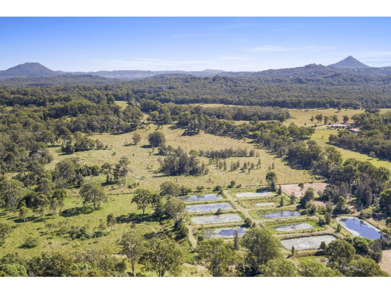280 – 302 Verrierdale Rd, Verrierdale QLD 4562