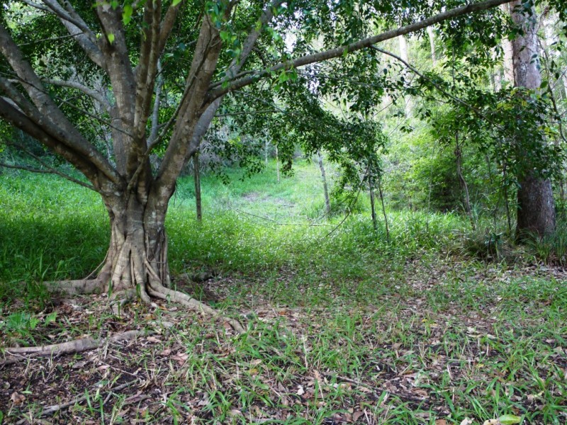 20 Viewland Drive, Doonan QLD 4562