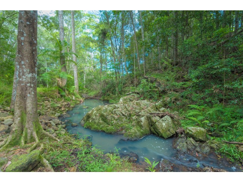 23 Whispering Gum Avenue, Eumundi QLD 4562