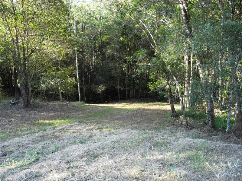 49 Whispering Gum Ave, Eumundi QLD 4562