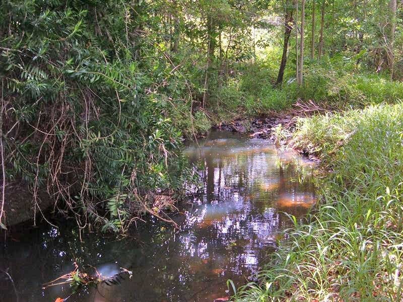 49 Whispering Gum Ave, Eumundi QLD 4562