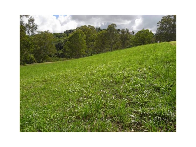 52 Whispering Gum Ave, Eumundi QLD 4562